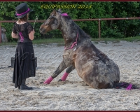 2-13JUIN 0126